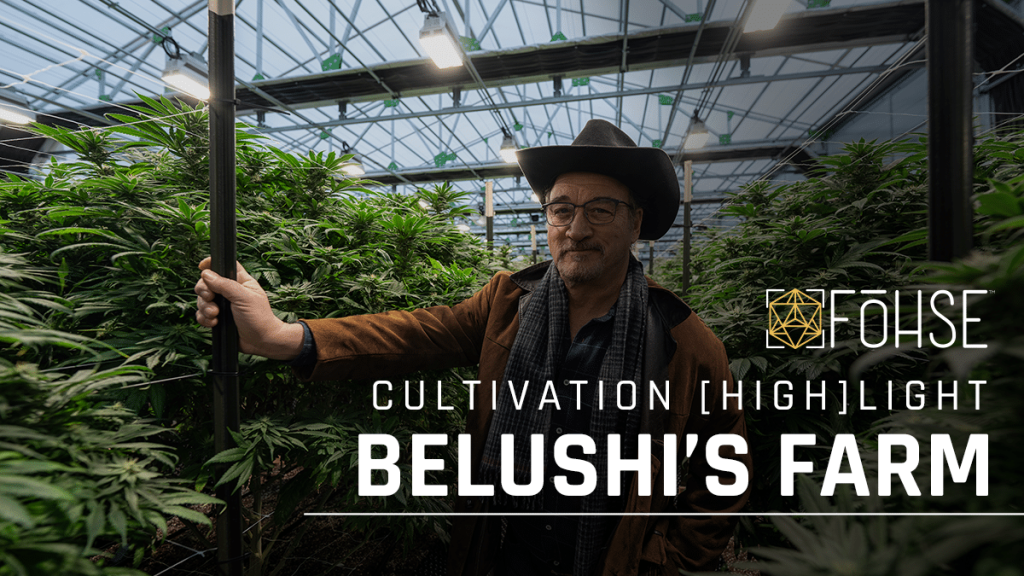 Belushi's Farm Highlight