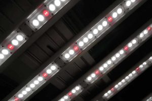 FOHSE F1V Series Built for Multi-Tier Rack Systems to Maximize Your Grow Space in Vertical Farming Applications