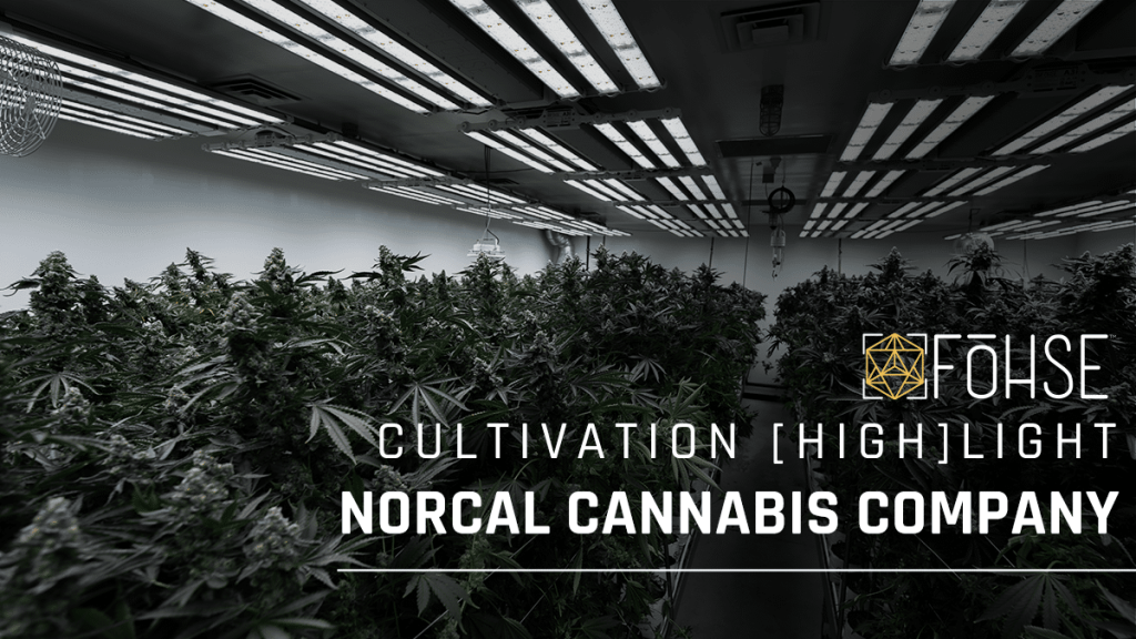 NorCal Cannabis Highlight