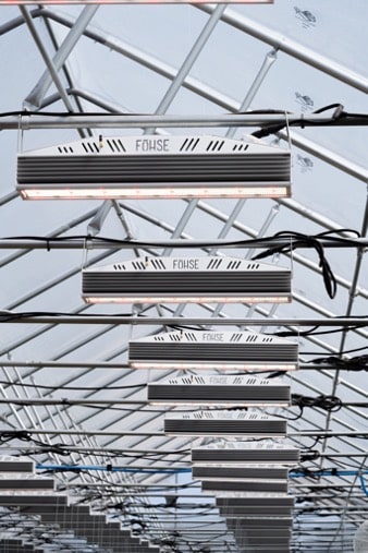 Pleiades LED Grow Light for Greenhouse and Indoor Grow Space