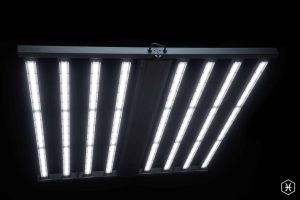 The best LED Light for home growing cannabis - The FOHSE Pisces