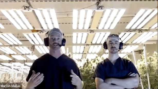 Lume Grower's Spotlight