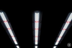 The FOHSE Pisces LED Fixture features polycarbonate lensing for easy cleaning and ultimate protection from foreign pathogens